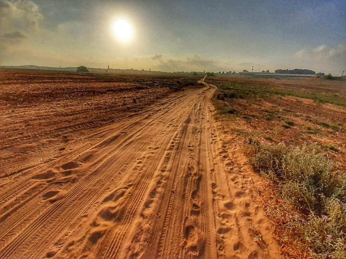 Kibbutz Hatzor A Room Close To Ashdod Hatzor Ashdod Ngoại thất bức ảnh