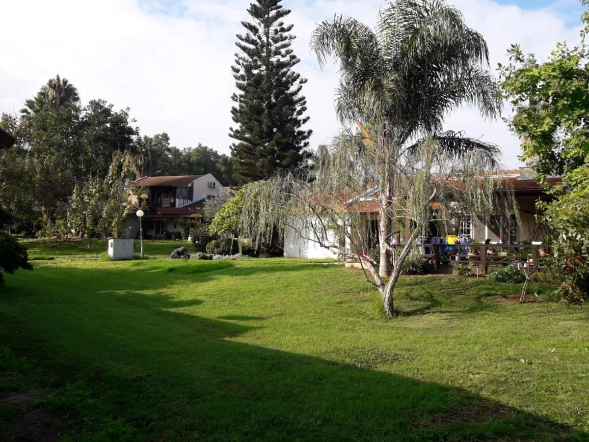 Kibbutz Hatzor A Room Close To Ashdod Hatzor Ashdod Ngoại thất bức ảnh
