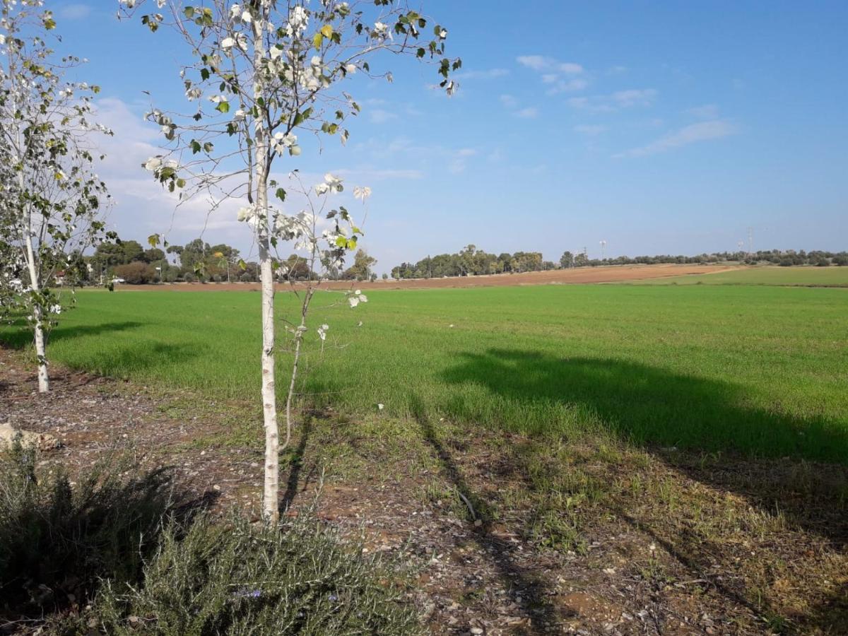 Kibbutz Hatzor A Room Close To Ashdod Hatzor Ashdod Ngoại thất bức ảnh